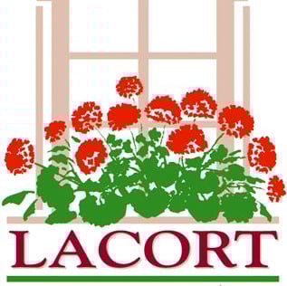 Foto empresa CENTRO GERONTOLOGICO LACORT S.L.