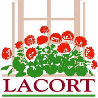 Foto empresa CENTRO GERONTOLOGICO LACORT S.L.